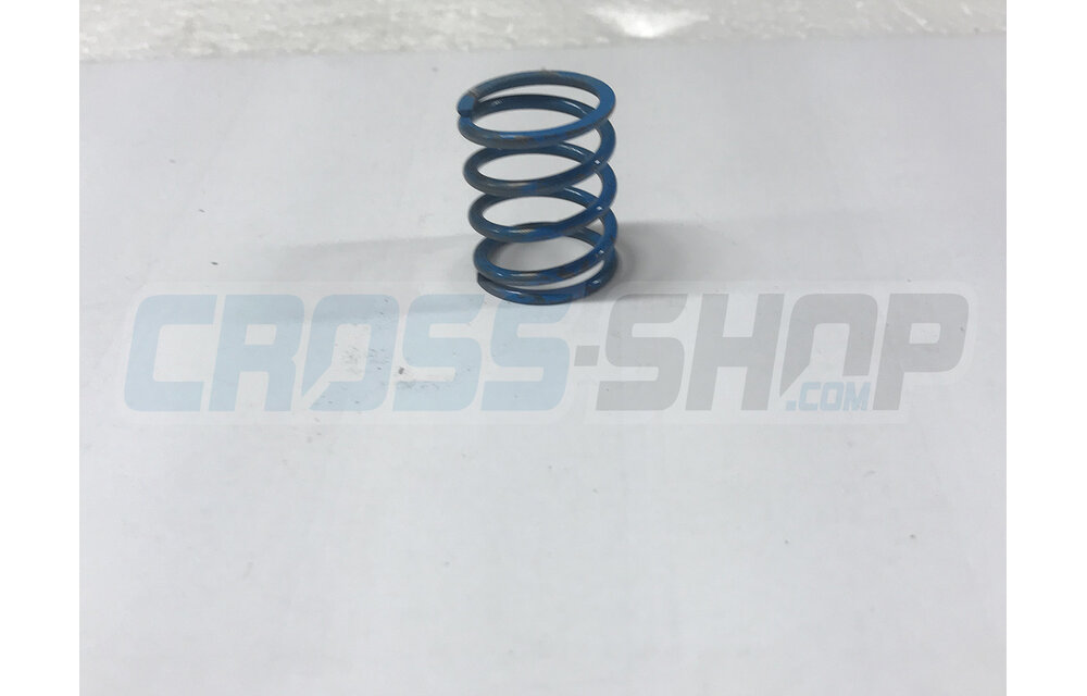 SPRING 300 cc