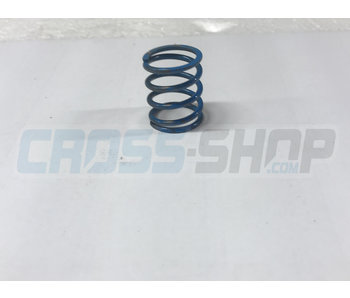 TM Moto SPRING 300 cc