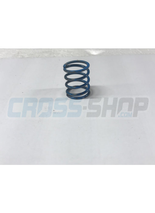 TM Moto SPRING 300 cc