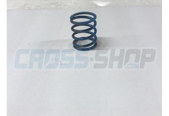 SPRING 300 cc