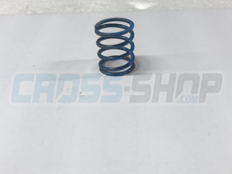 TM Moto SPRING 300 cc