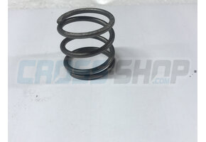 SPRING SPIN EXHAUST VALVE J13