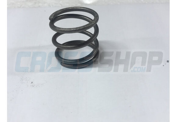SPRING SPIN EXHAUST VALVE J13