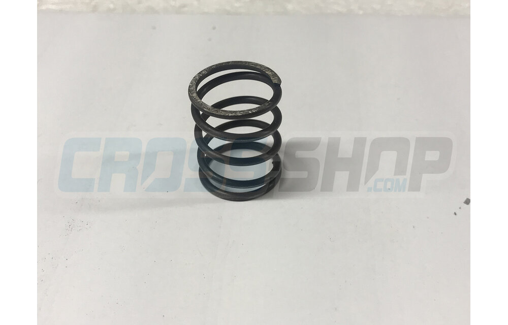 SPRING CLUTCH 250cc M.99/-> = REPLACED BY F16453