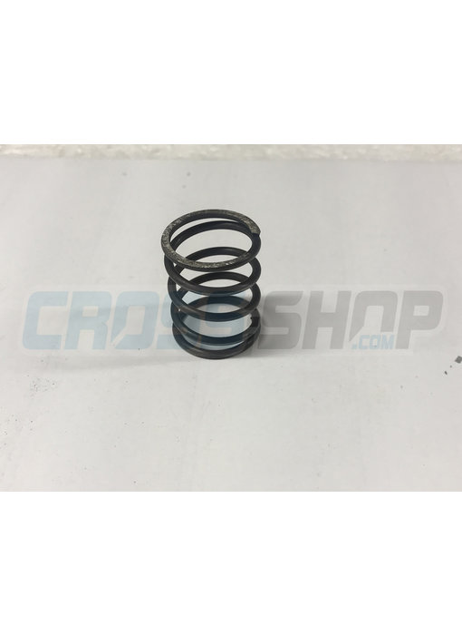 TM Moto SPRING CLUTCH 250cc M.99/-> = REPLACED BY F16453