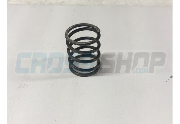 SPRING CLUTCH 250cc M.99/-> = REPLACED BY F16453