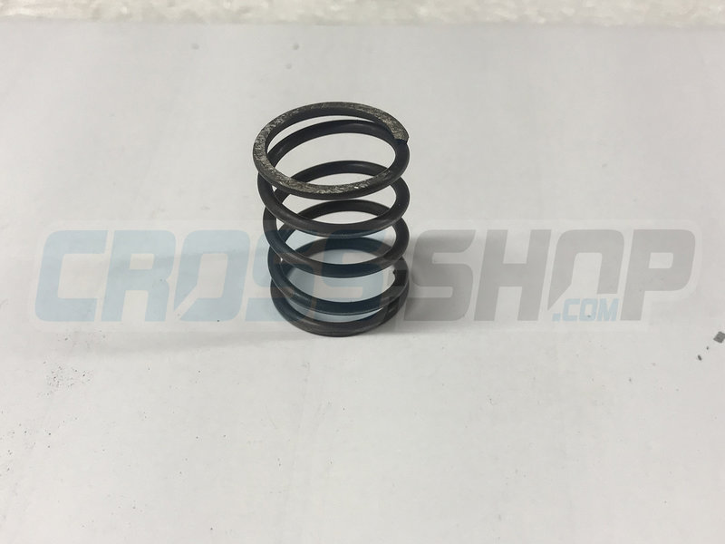 SPRING CLUTCH 250cc M.99/-> = REPLACED BY F16453