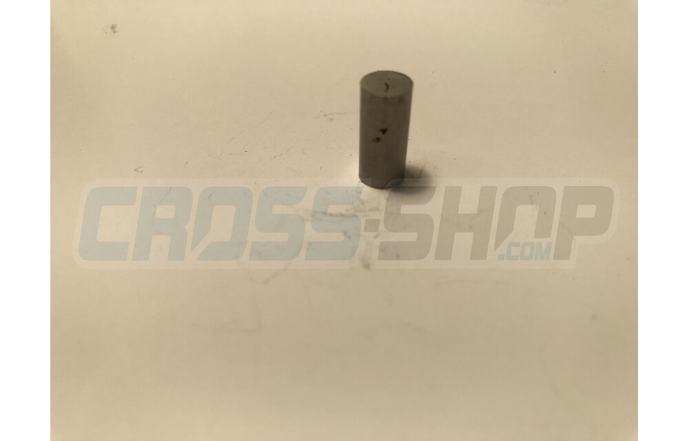 MAGNET OIL PLUG