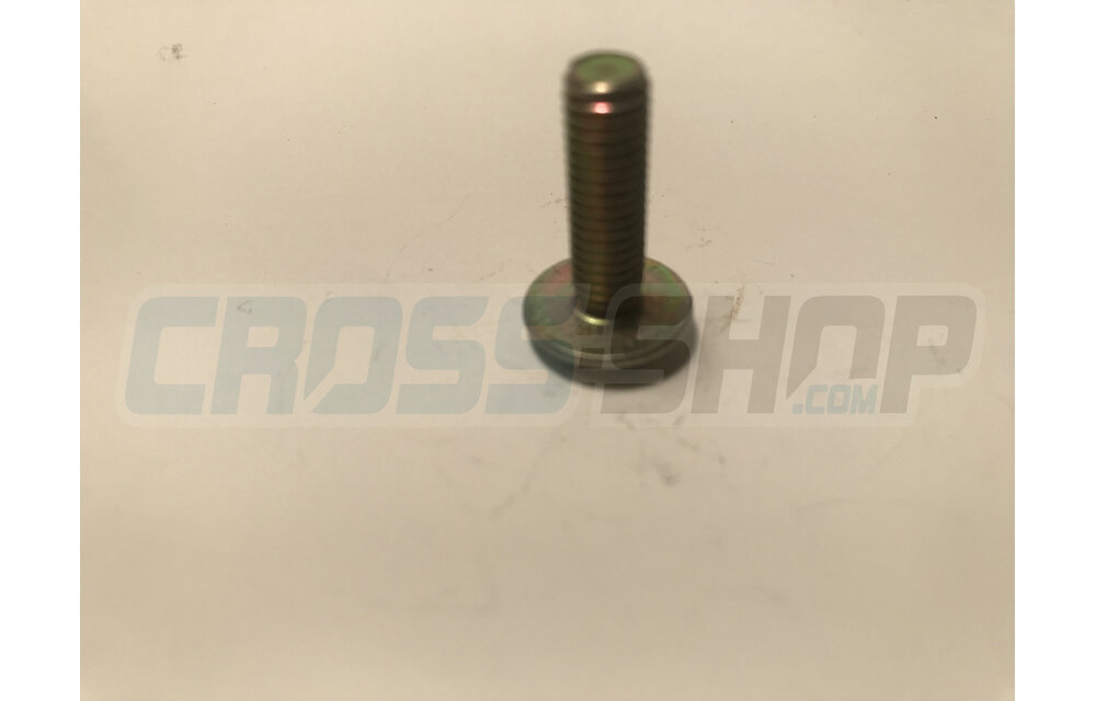 SCREW TB LARGE 6X20