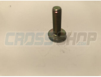 SCREW TB LARGE 6X20