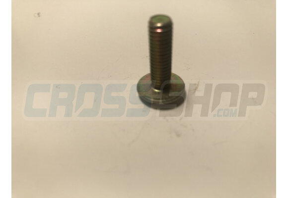 SCREW TB LARGE 6X20