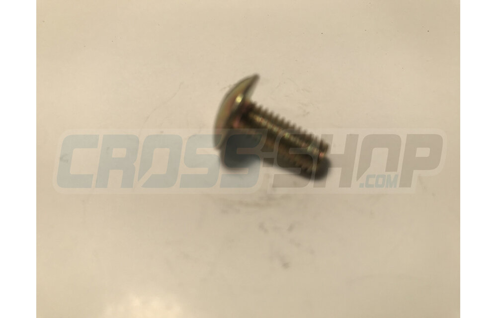 BOLT TB LARGE 6X15(16)