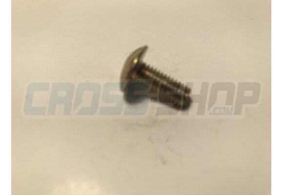 BOLT TB LARGE 6X15(16)