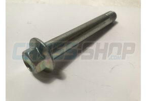 BOLT TE F/R 12X875 1.25 T.13