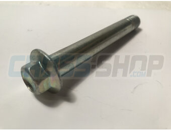 BOLT TE F/R 12X875 1.25 T.13
