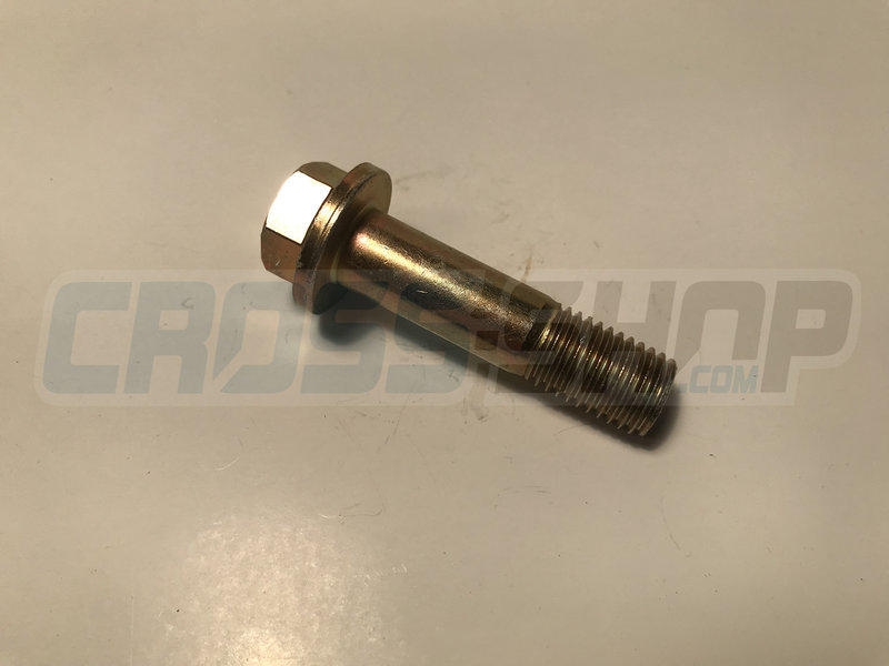 TM Racing SCREW TE F/R 10X36 1.25 T.10