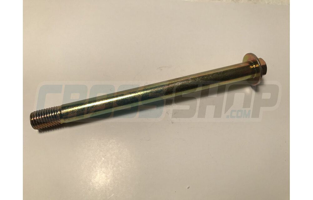 BOLT SPECIAL 10X120 1.25 T.10