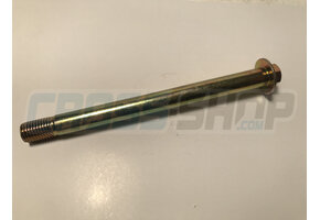 BOLT SPECIAL 10X120 1.25 T.10