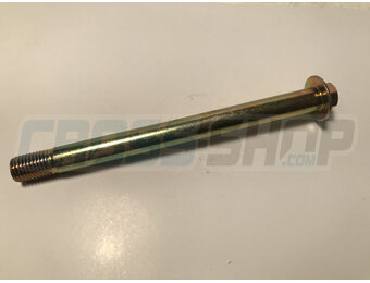 BOLT SPECIAL 10X120 1.25 T.10