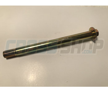 BOLT SPECIAL 10X120 1.25 T.10