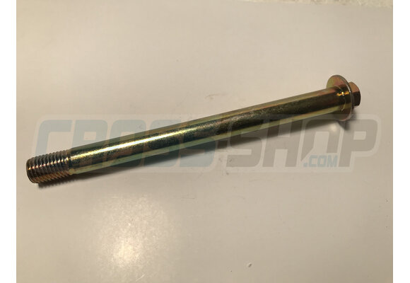 BOLT SPECIAL 10X120 1.25 T.10