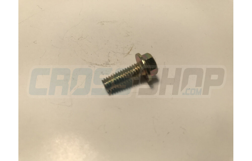 BOLT 6X16 T.8