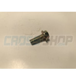 BOLT 6X16 T.8