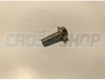 BOLT 6X16 T.8