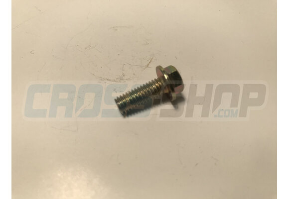 BOLT 6X16 T.8