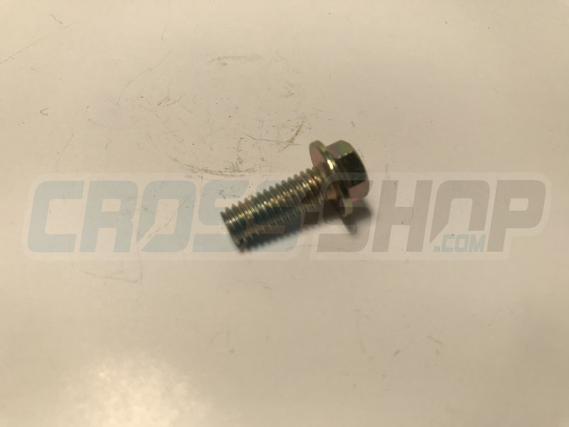 BOLT 6X16 T.8
