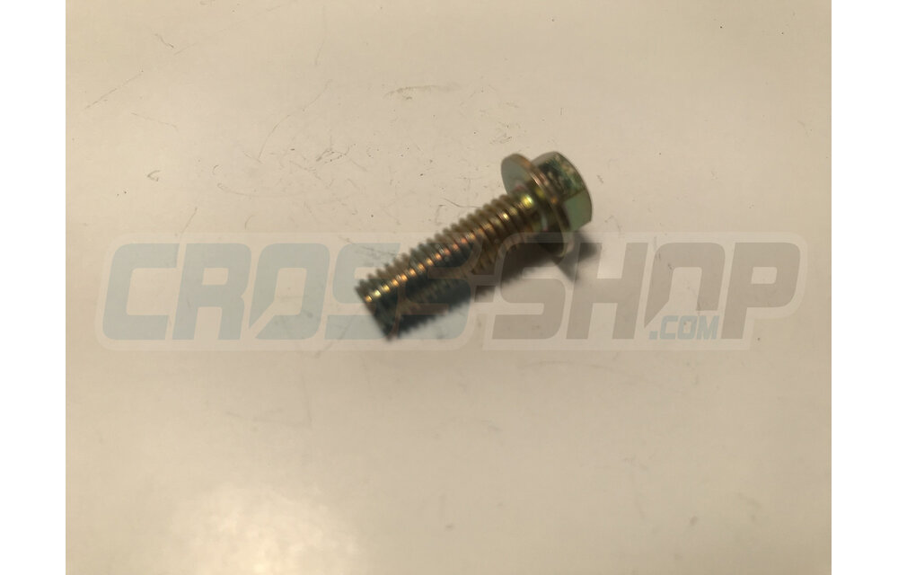 BOLT 6X20 T.8