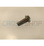 BOLT 6X20 T.8
