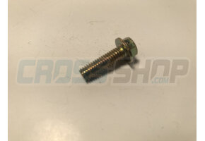 BOLT 6X20 T.8