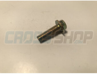 BOLT 6X20 T.8