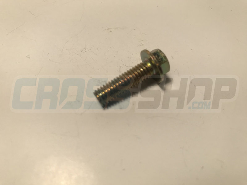 BOLT 6X20 T.8