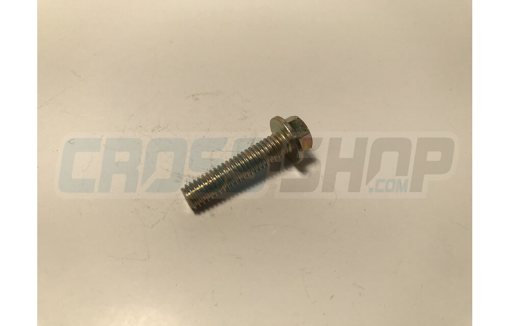 BOLT 6X25 T.8