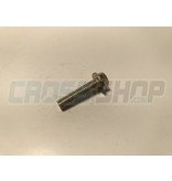 BOLT 6X25 T.8