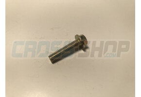BOLT 6X25 T.8