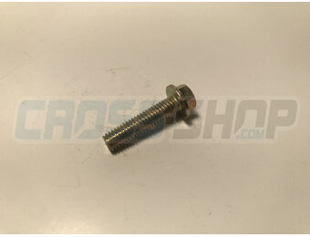 BOLT 6X25 T.8