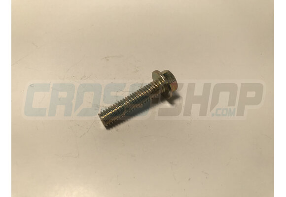 BOLT 6X25 T.8