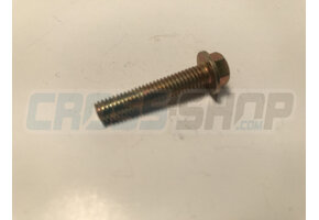BOLT 6X30 T.8