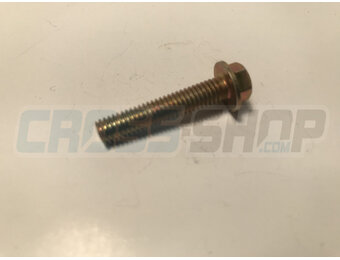 BOLT 6X30 T.8