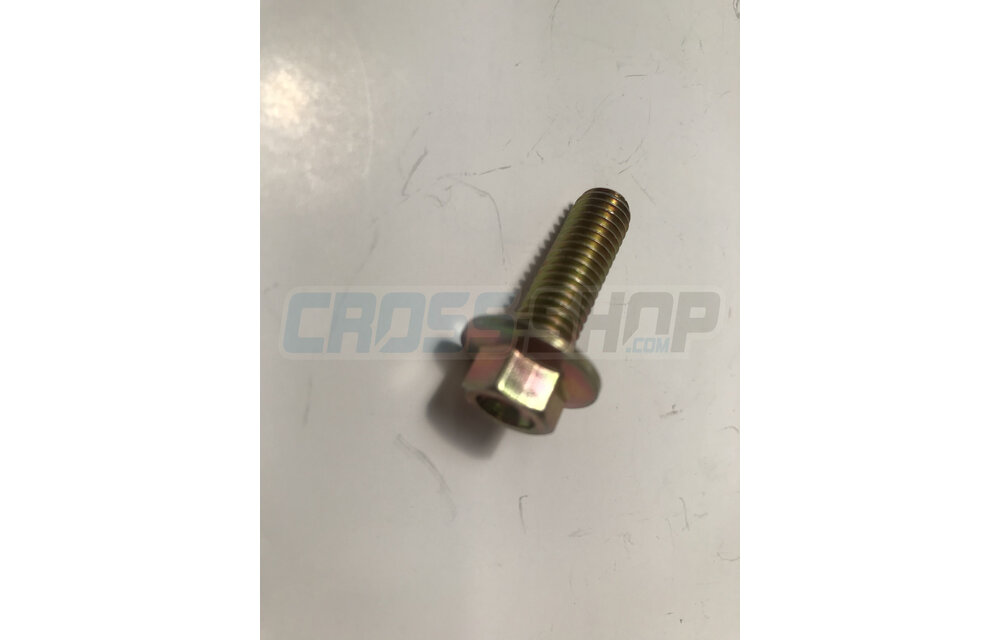 BOLT EH 8X25 To.10 mm