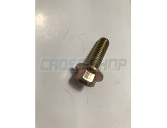 BOLT EH 8X25 To.10 mm