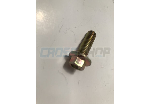 BOLT EH 8X25 To.10 mm