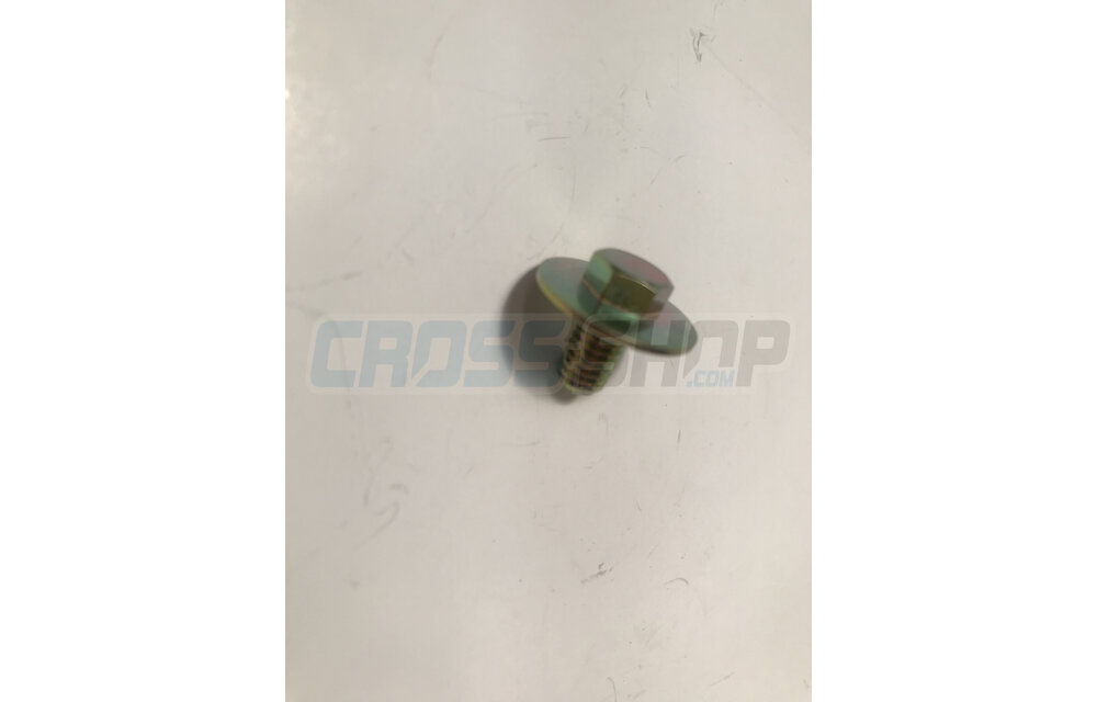 BOLT 6X10 (Kich Starter)