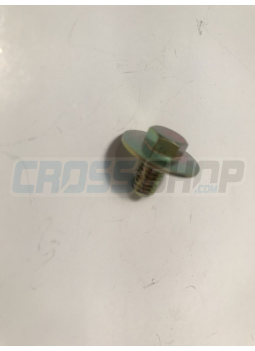 BOLT 6X10 (Kich Starter)