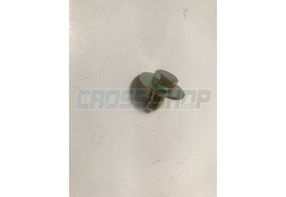 BOLT 6X10 (Kich Starter)