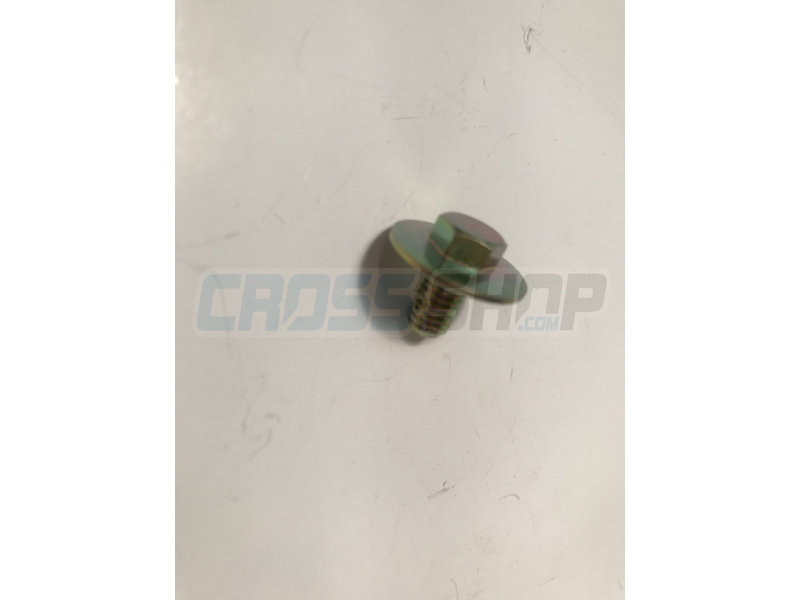 BOLT 6X10 (Kich Starter)