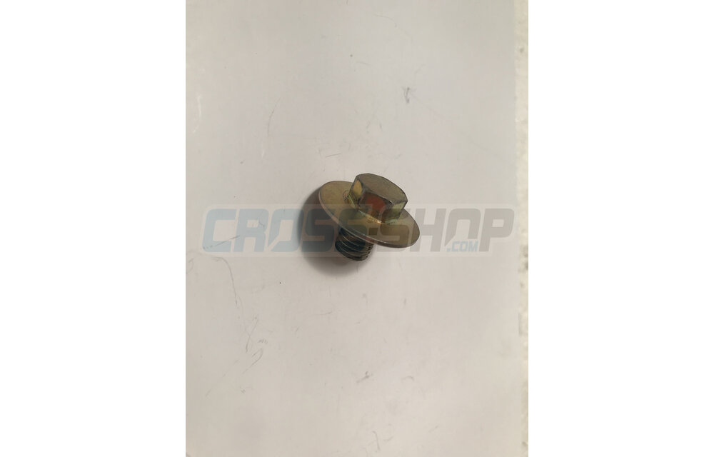 BOLT 8X10 T.10mm(Kich Starter)